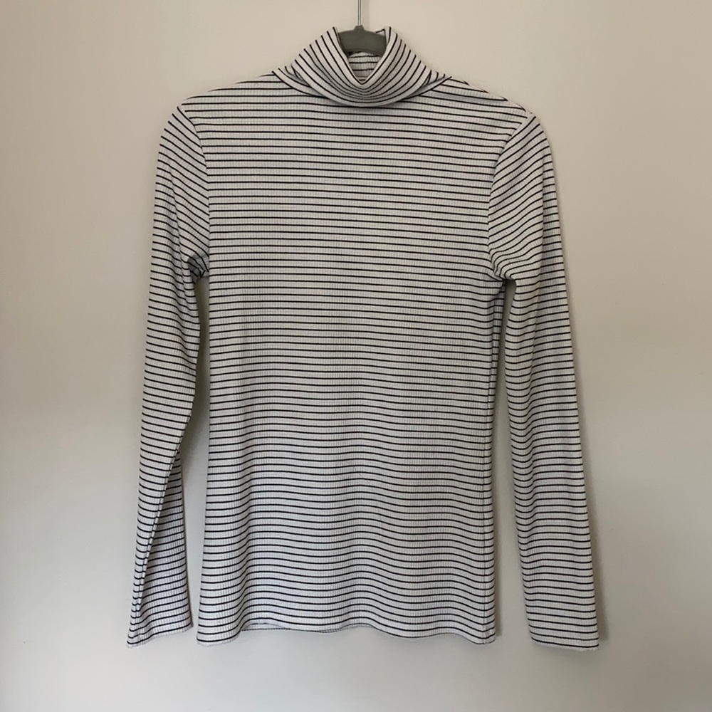 Halogen Turtle Neck
